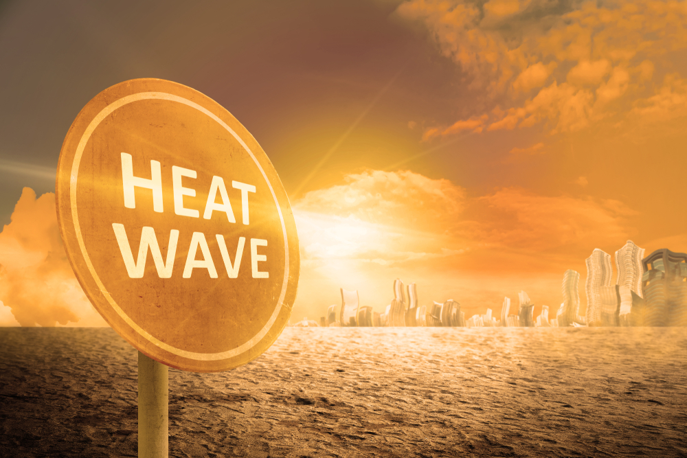 Image result for heat wave